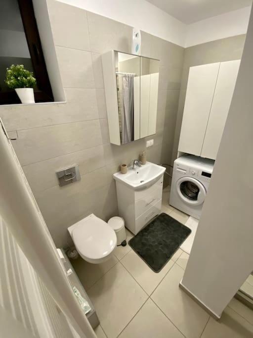 Cozy Central Apartment With 2 Rooms 布加勒斯特 外观 照片
